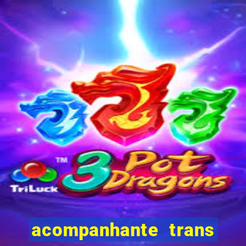 acompanhante trans de santos